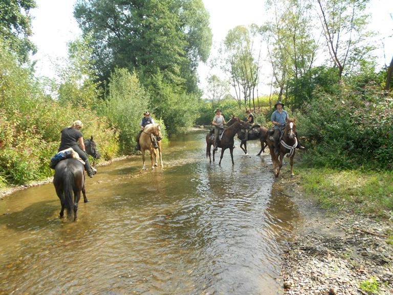 Zvieratá na farme alebo blízkom okolí