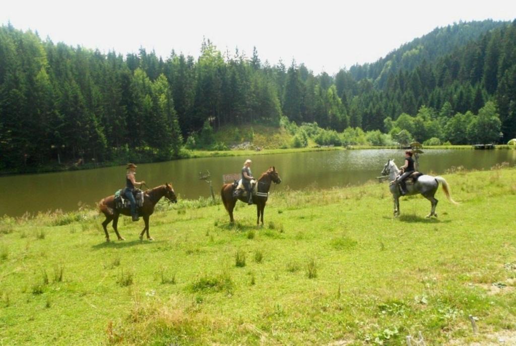 Zvieratá na farme alebo blízkom okolí