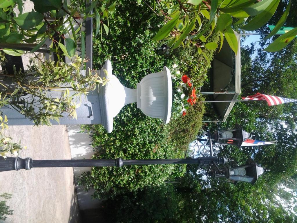 Zahrada ubytování Hotel Verdi