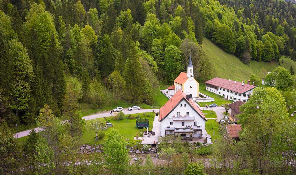 Příroda nedaleko apartmánu