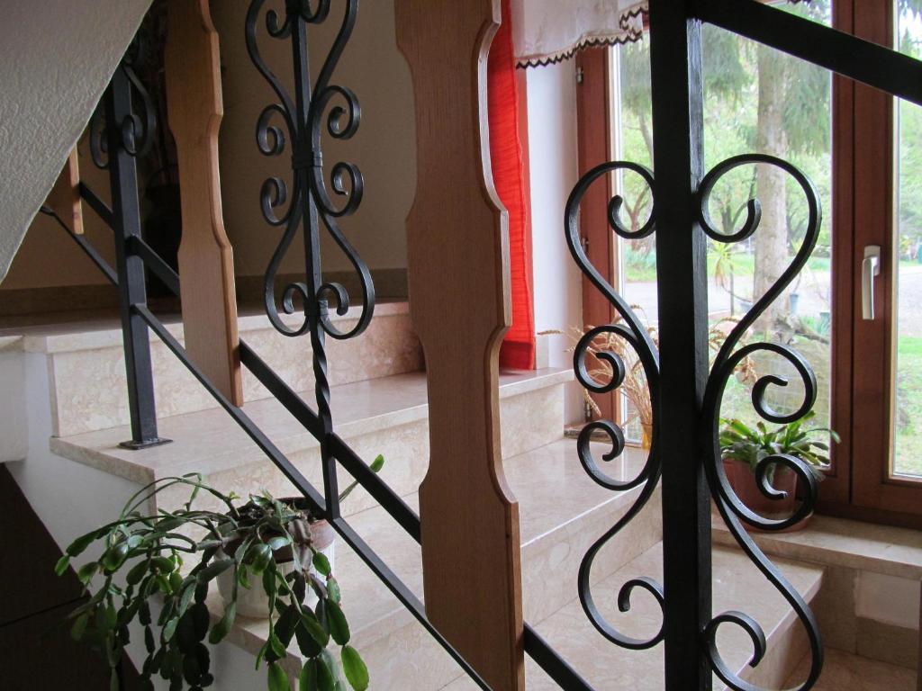 a staircase with wrought iron railings and a plant at Appartement Weingut Schoberhof in Bad Gleichenberg