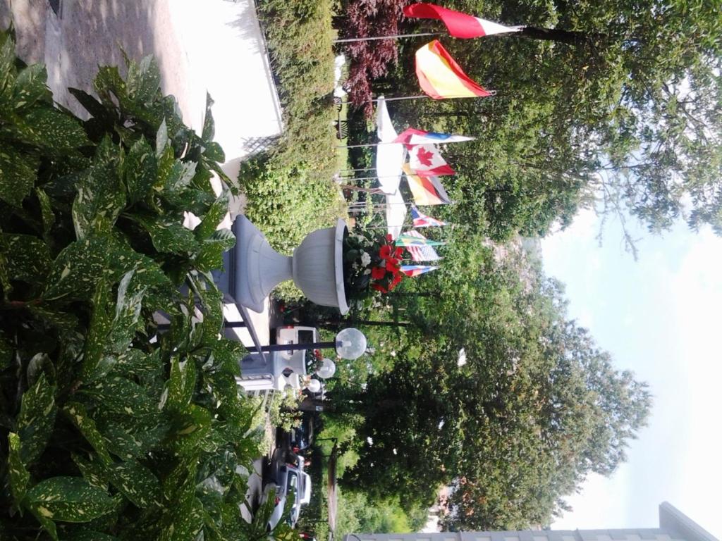 Zahrada ubytování Hotel Verdi