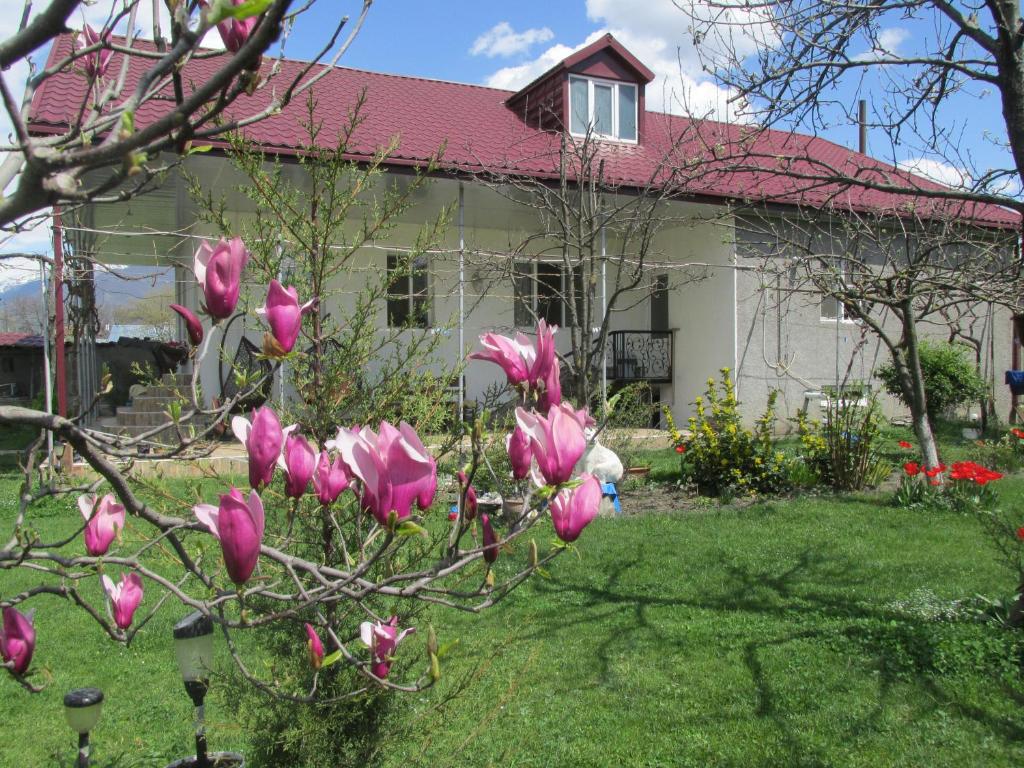 Zahrada ubytování Guest House Melissa