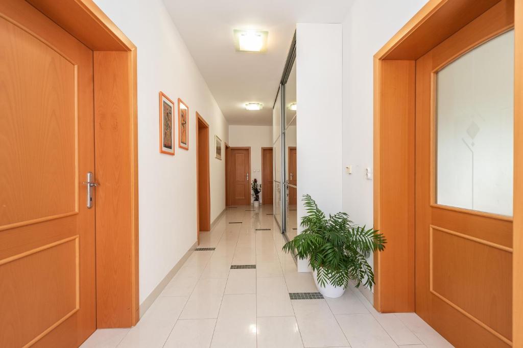 Fotografie z fotogalerie ubytování Centrally located apartment for 16 v Novalji