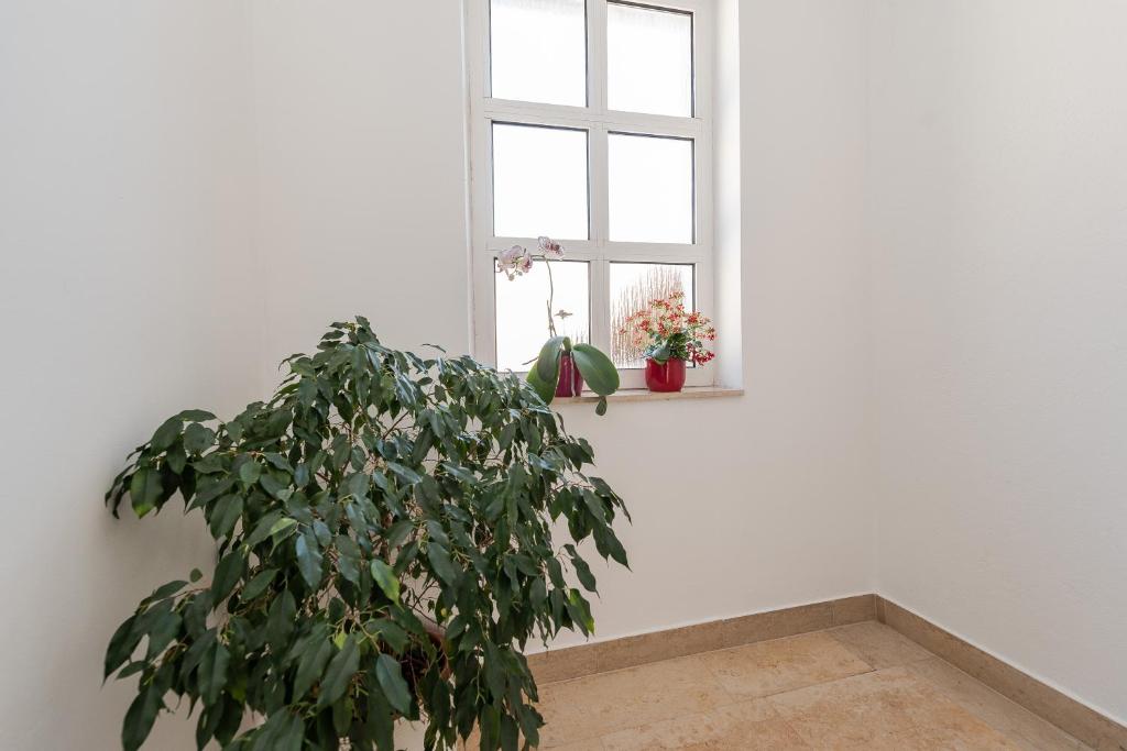 Fotografie z fotogalerie ubytování Centrally located apartment for 16 v Novalji