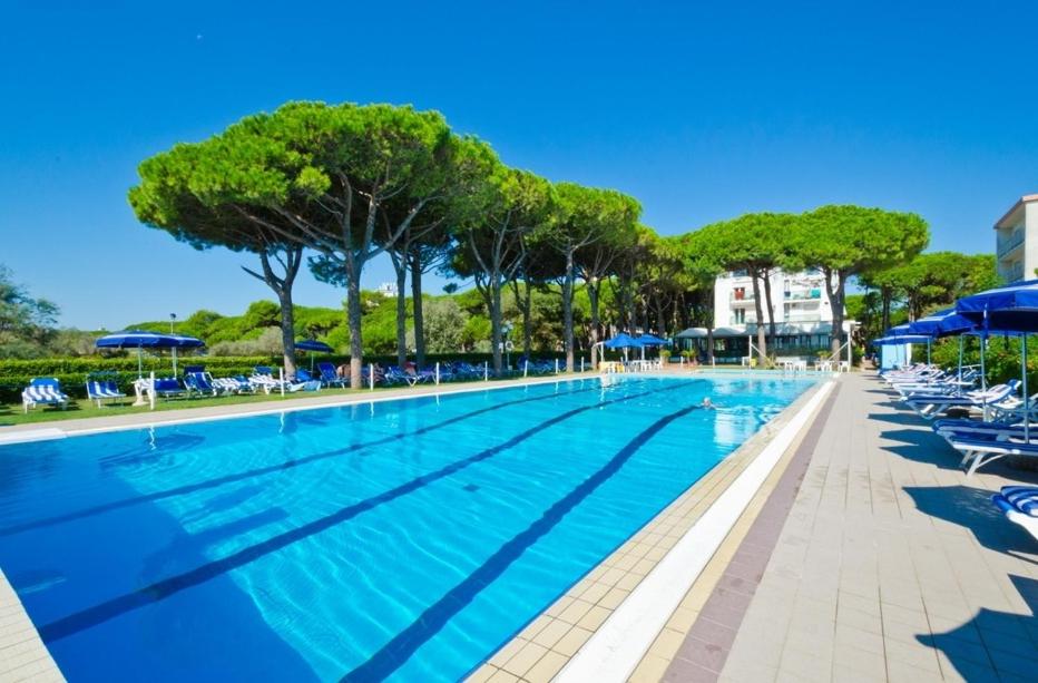 Bazén v ubytování Hotel King nebo v jeho okolí