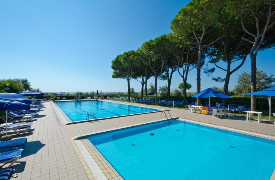 Bazén v ubytování Hotel King nebo v jeho okolí