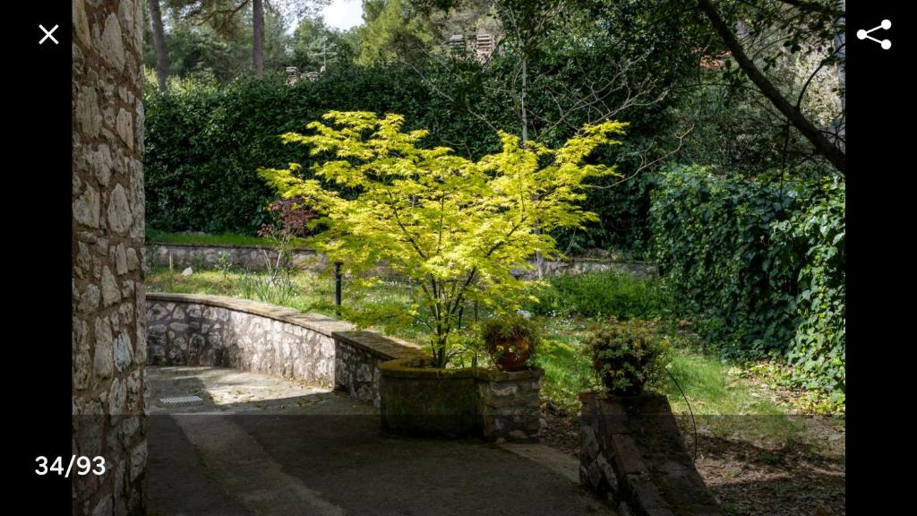 Ogród w obiekcie AltaVista - Perugia