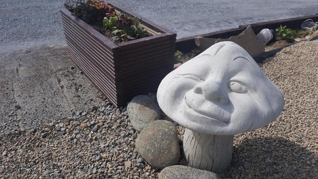 Fotografie z fotogalerie ubytování Crag Shore v destinaci Lahinch