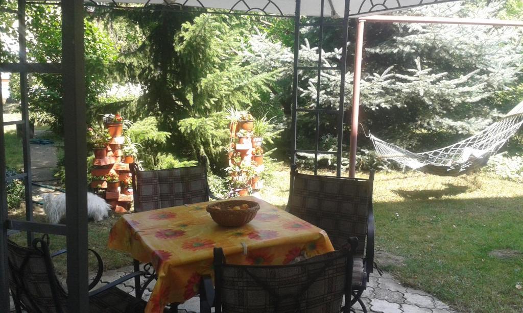 Zahrada ubytování Sobe Dijana