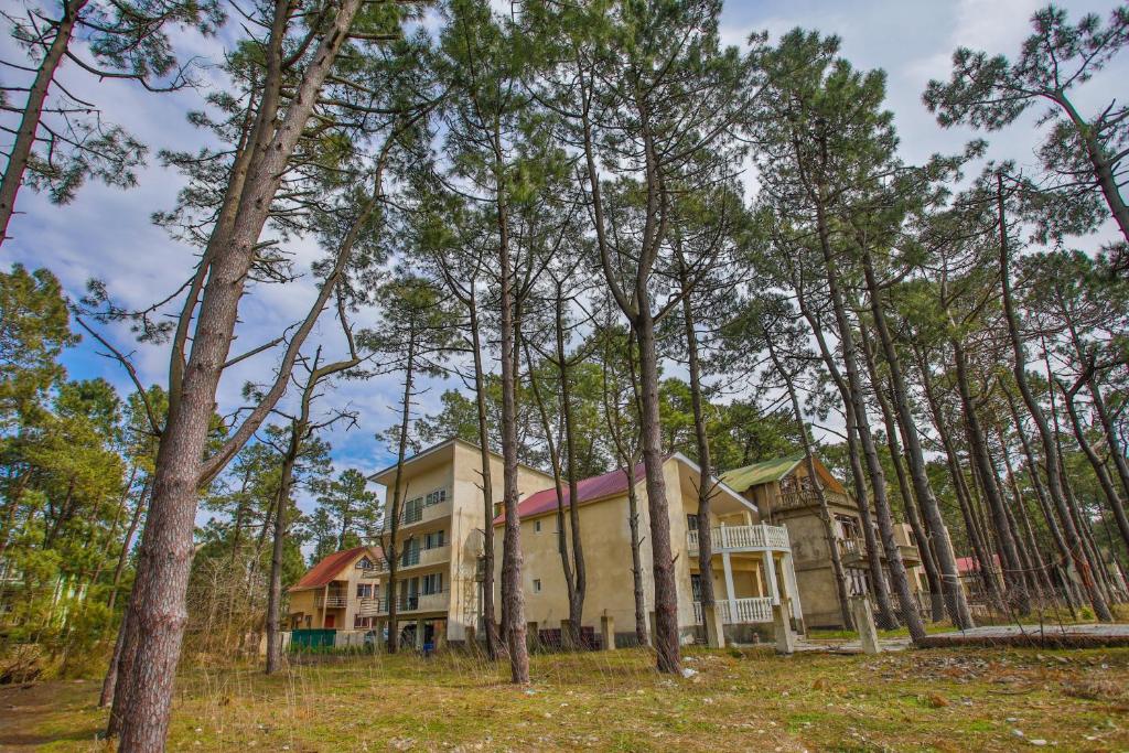 Budova, kde se apartmán nachází