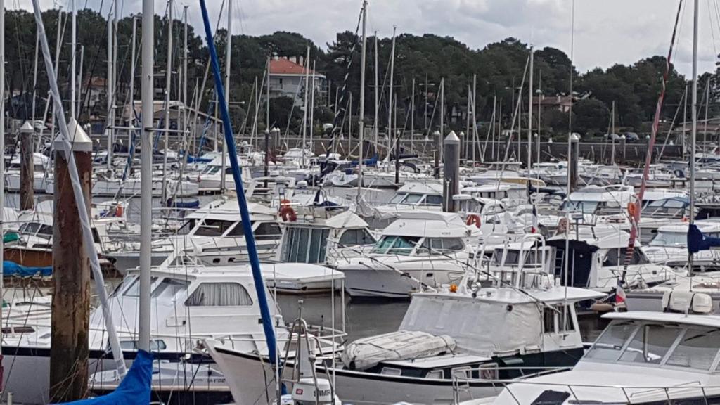 Gallery image of Les terrasses de Notre Dame in Capbreton