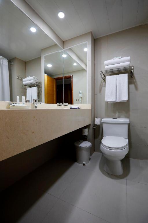 Koupelna v ubytování Hotel Diego de Almagro Viña del Mar