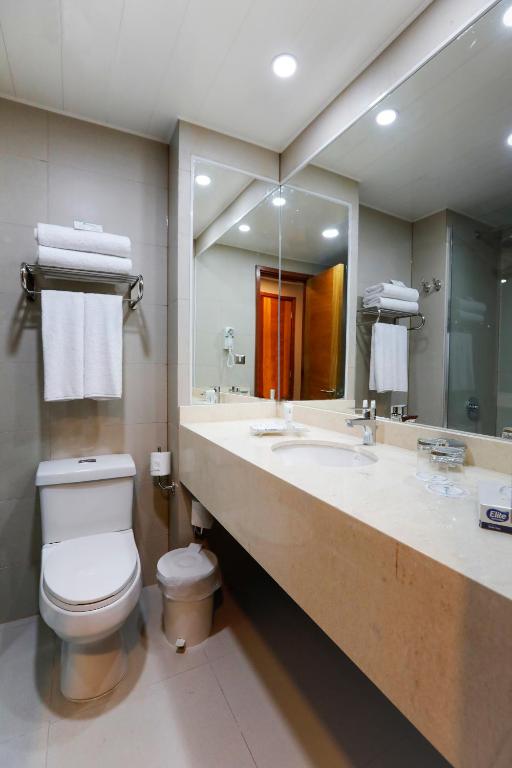 Koupelna v ubytování Hotel Diego de Almagro Viña del Mar