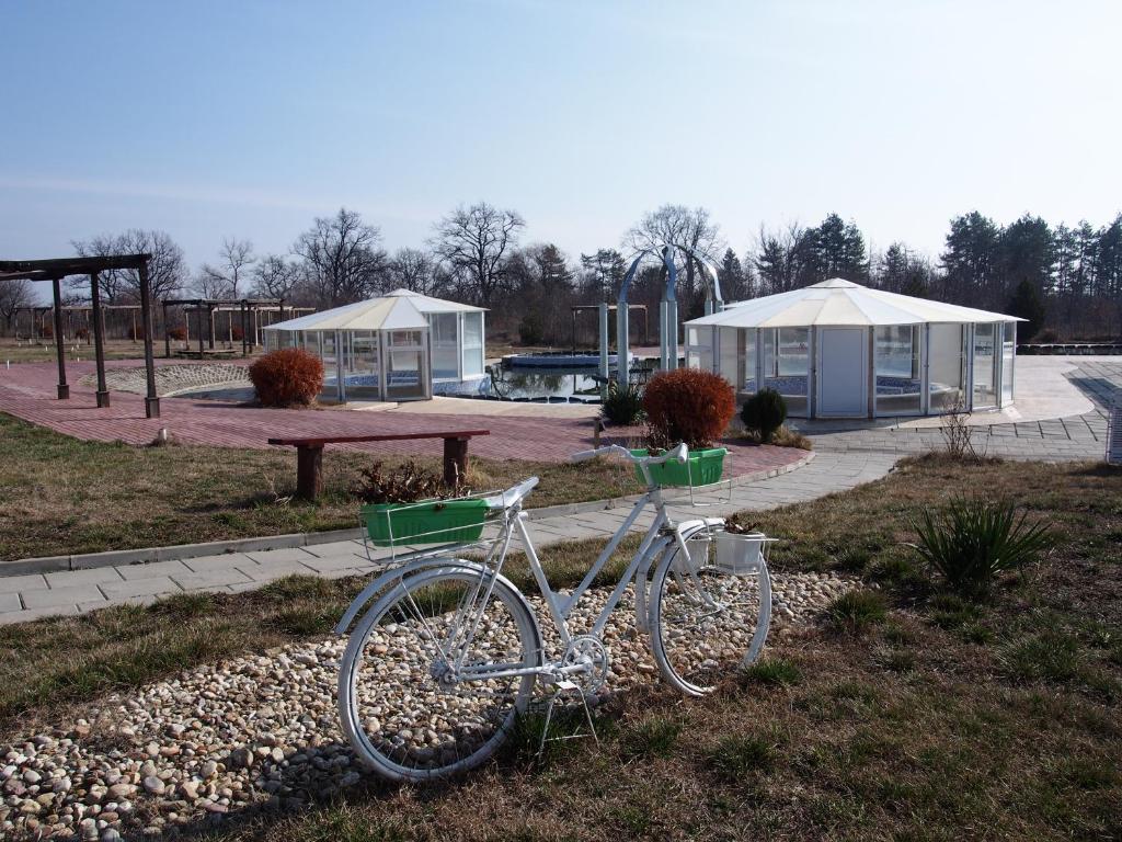 Fotografie z fotogalerie ubytování A-Apartment v destinaci Krasnovo