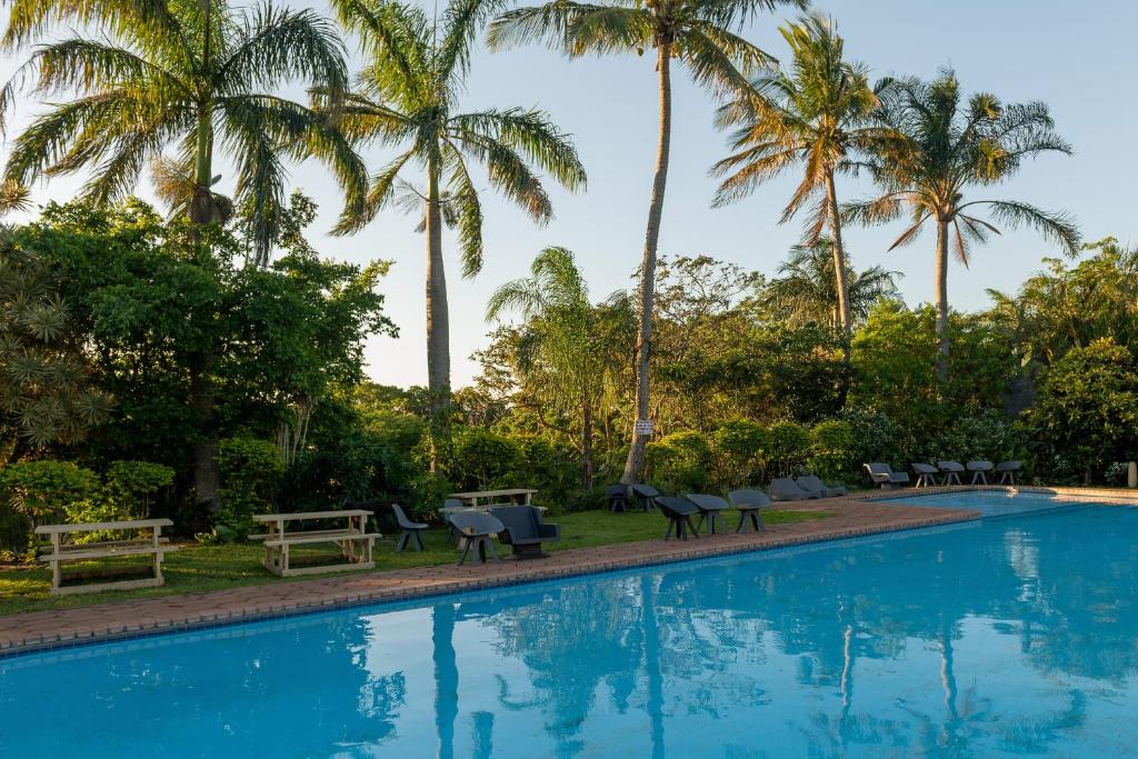 een zwembad met palmbomen op de achtergrond bij Pelicans Pad @ St Lucia in St Lucia