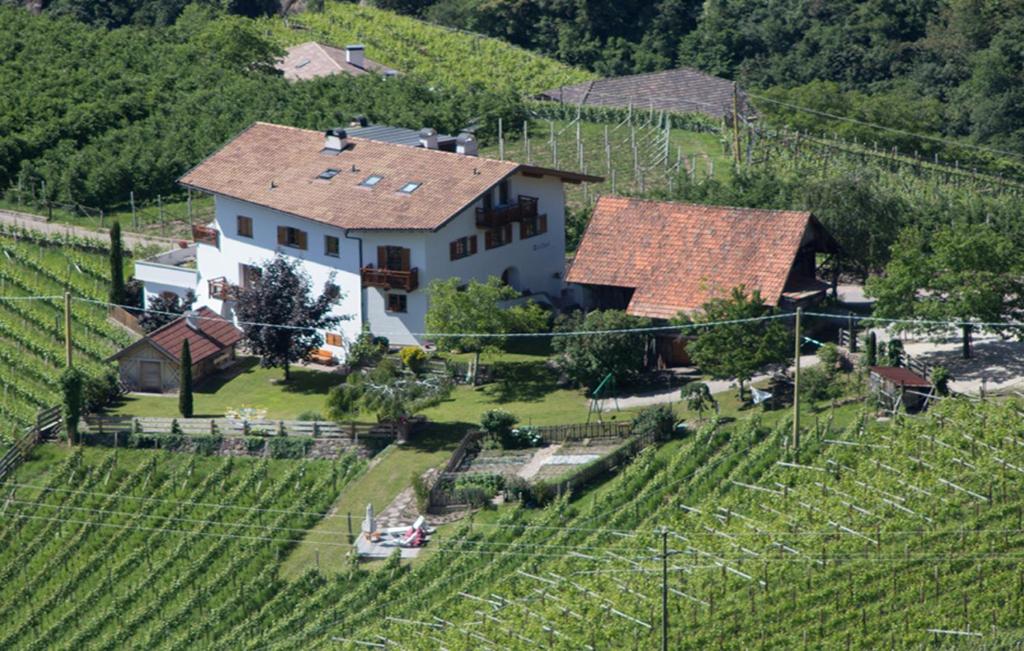 an aerial view of a house in a vineyard at Tollhof in Bolzano