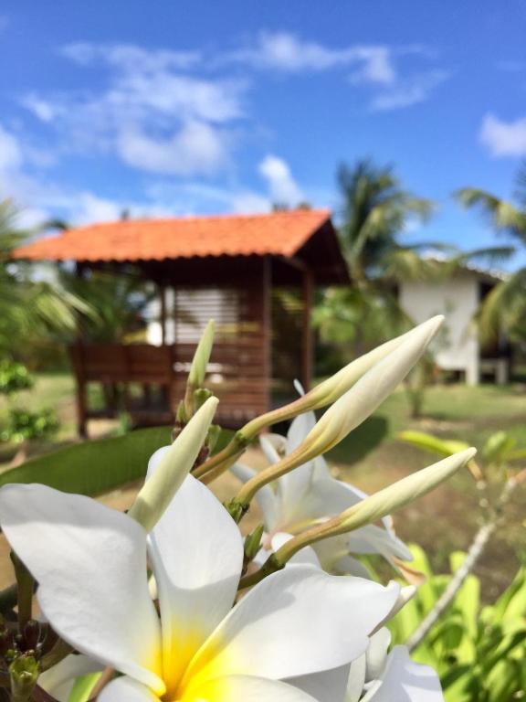 Taman di luar Pousada Vettore