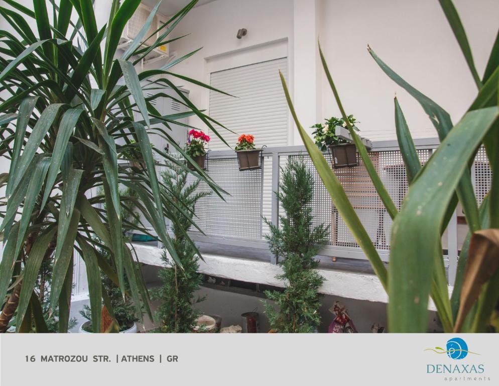 Zahrada ubytování Denaxas Apartments in the heart of Athens