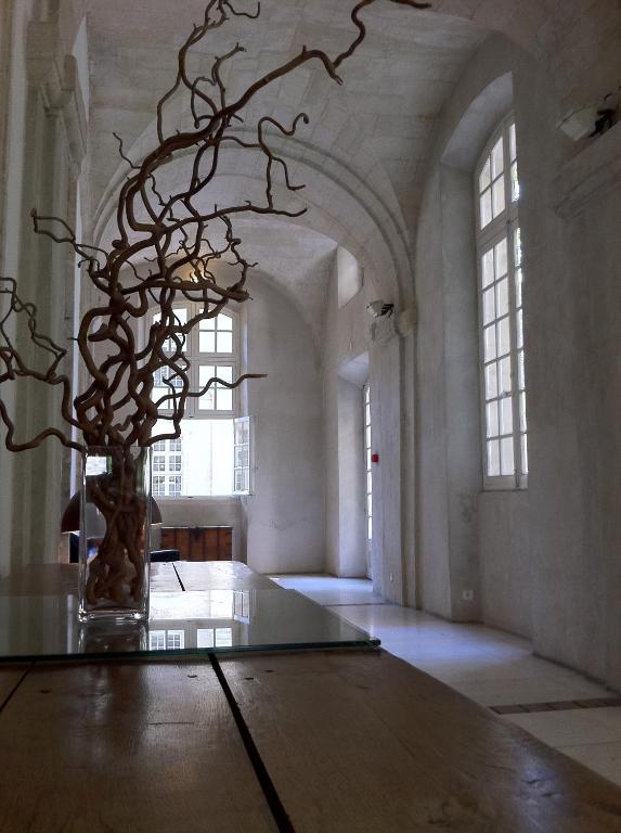 Hôtel Cloitre Saint Louis Avignon - Resim 15