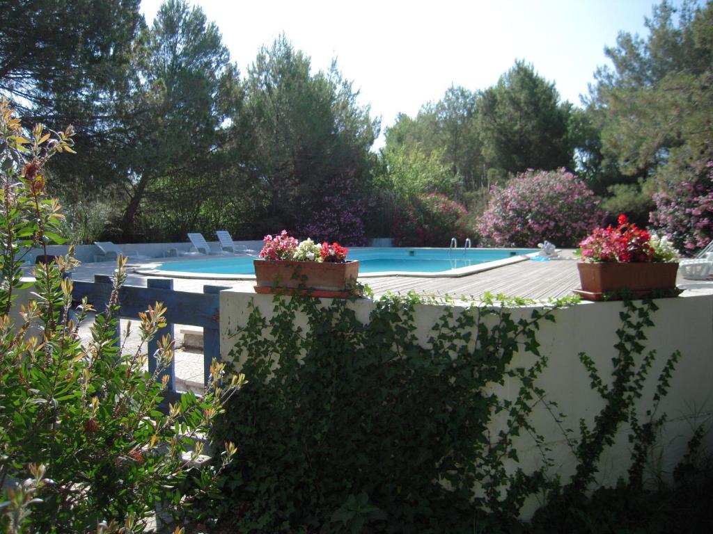 a swimming pool with two potted plants on a wall at Manade Cavallini - Mas de Pioch in Saintes-Maries-de-la-Mer