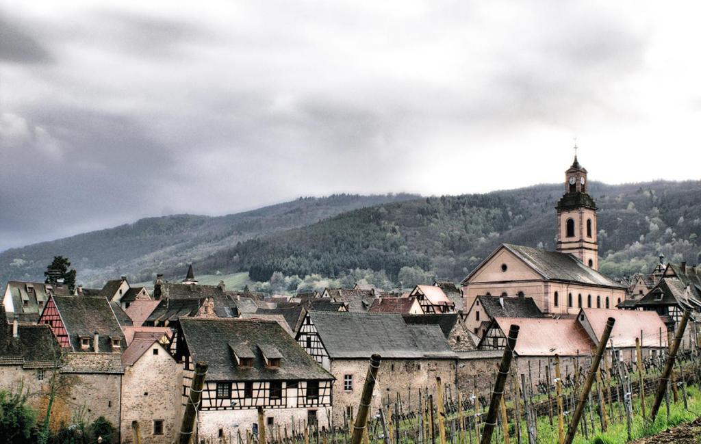 My Riquewihr – photo 20