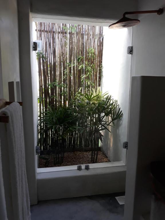 Casa da Cris Praia do Espelho Charme e Natureza
