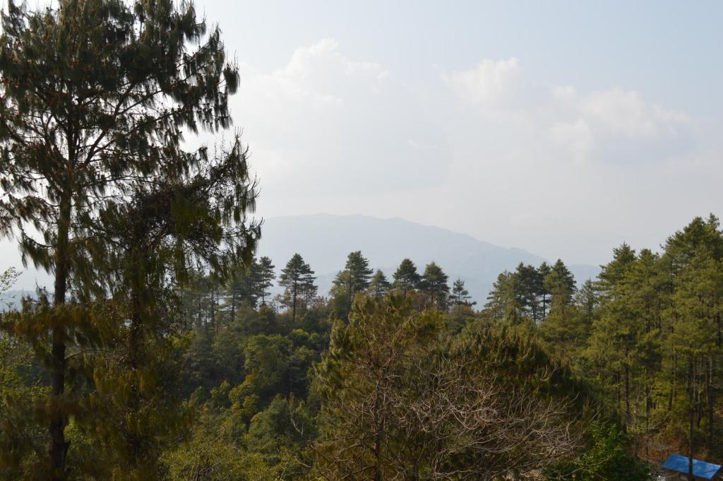 a forest of trees with mountains in the background at Hotel At The End Of The Universe in Nagarkot