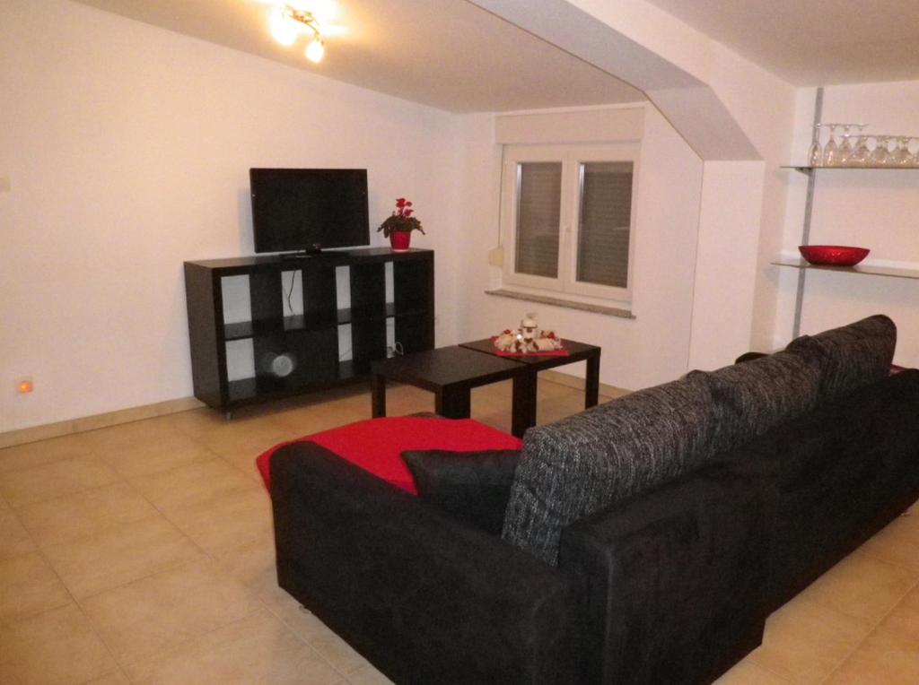 uma sala de estar com um sofá preto e uma televisão em Appartement Celia em Wittisheim