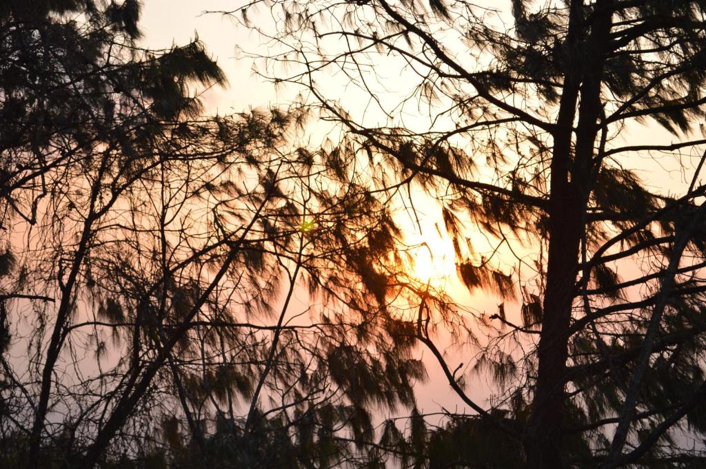 a reflection of trees in the water at sunset at Hotel At The End Of The Universe in Nagarkot