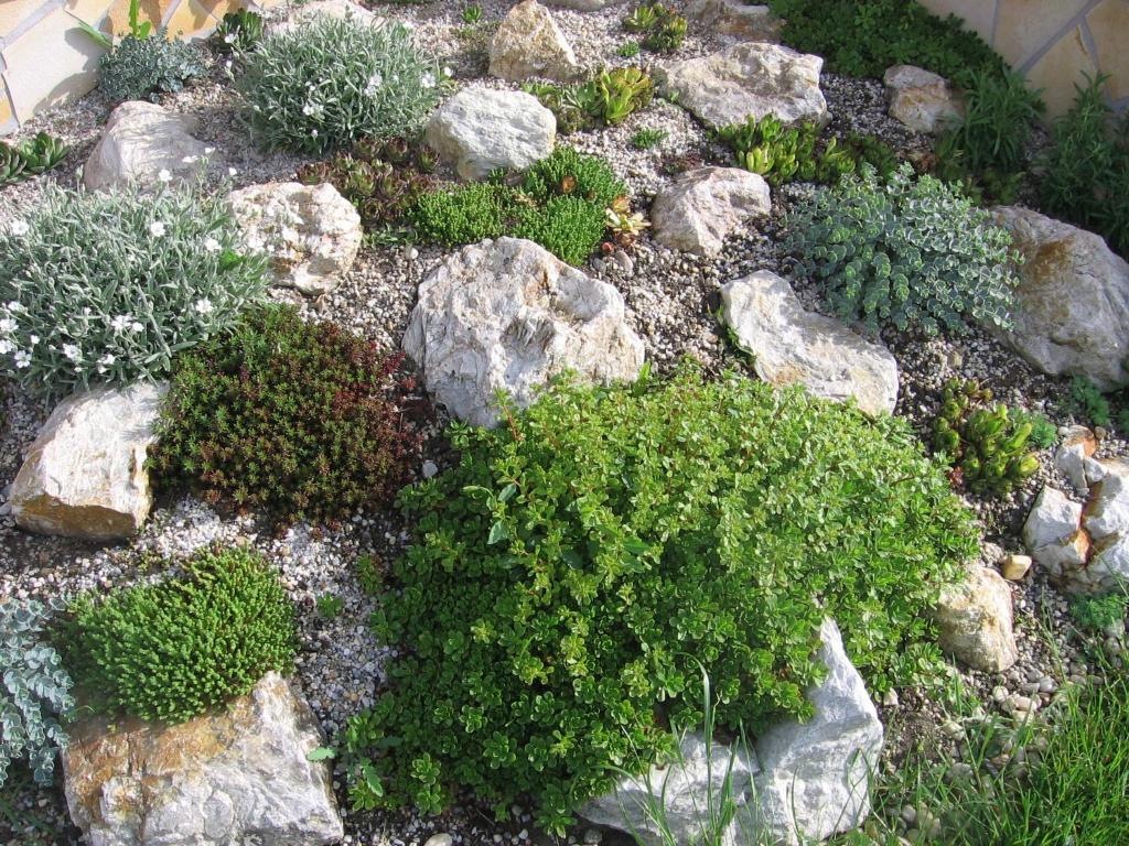 A garden outside Bodzavirág Apartman
