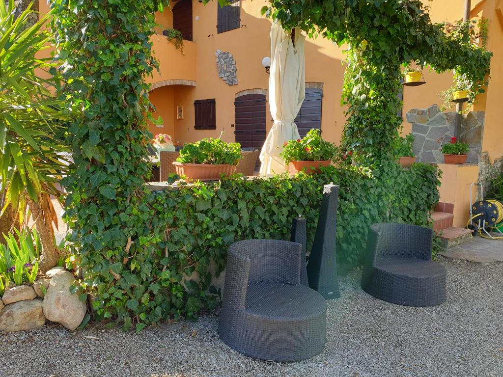 Ogród w obiekcie Il Leccio - casa toscana il fienile