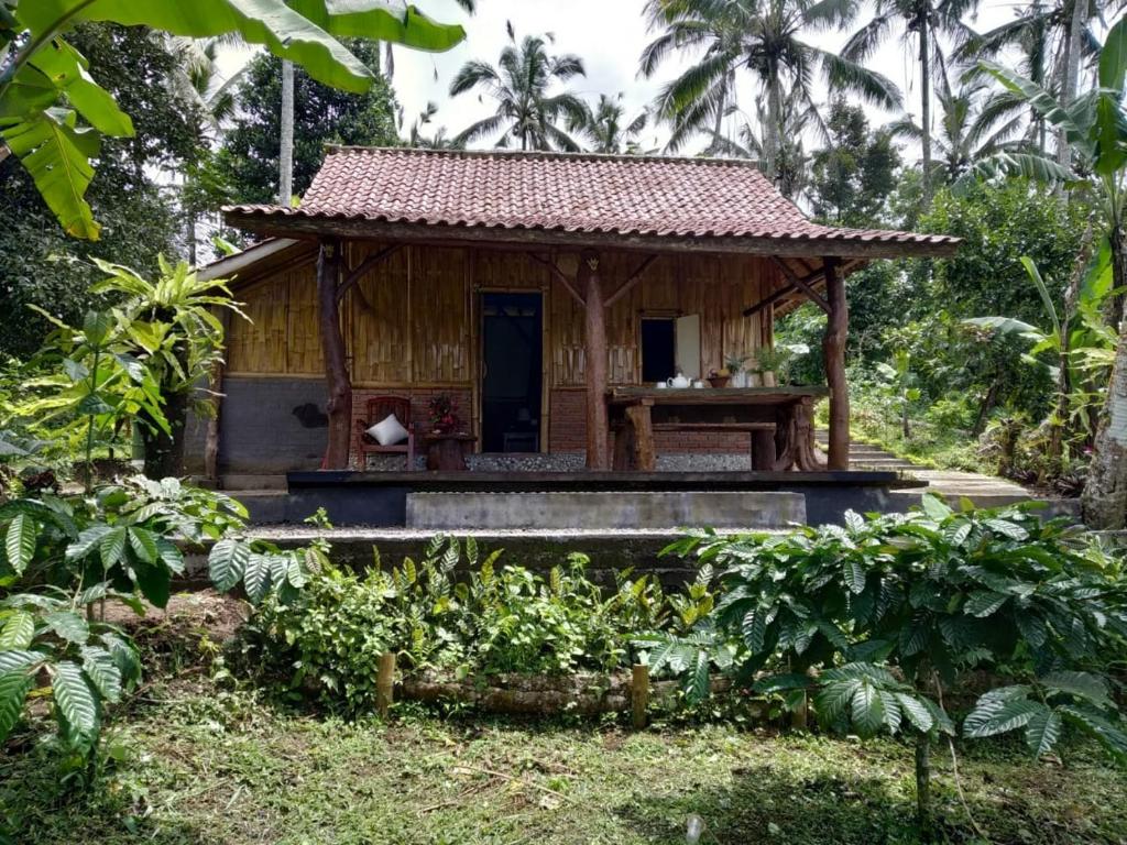 a small house in the middle of a forest at Bali mountain forest cabin in Penebel