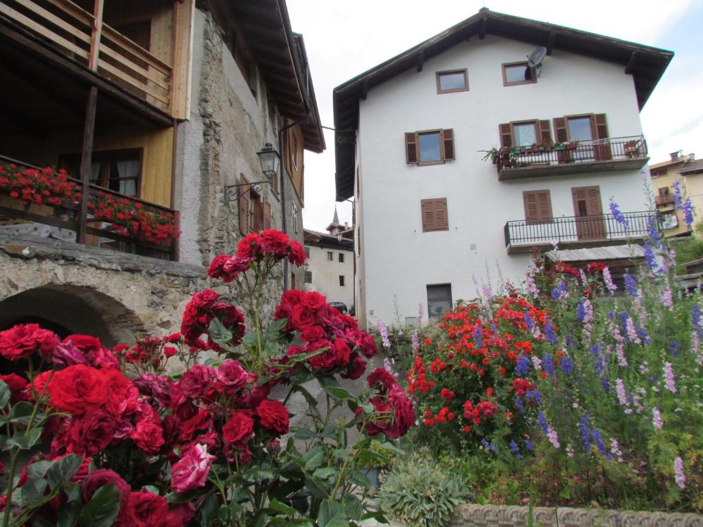 a garden with red flowers in front of a building at Appartamenti Rumo in Rumo
