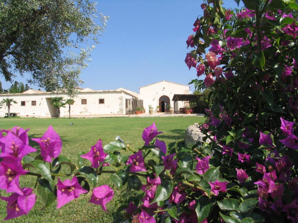 a bush with purple flowers in front of a building at Villa Giannina in Ispica