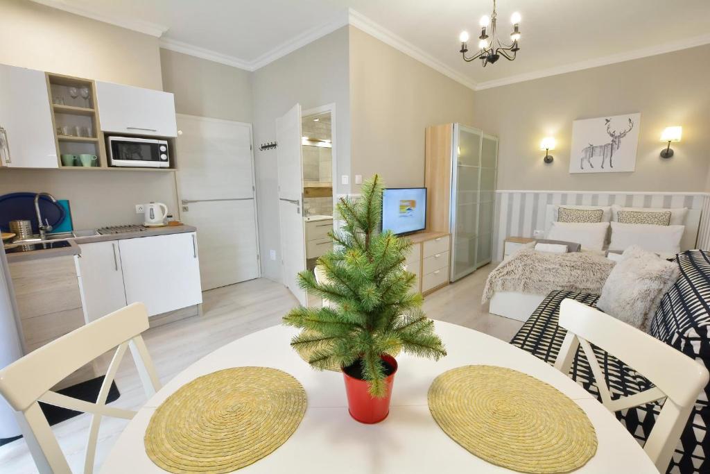 Zlote Modrzewie - Appartement