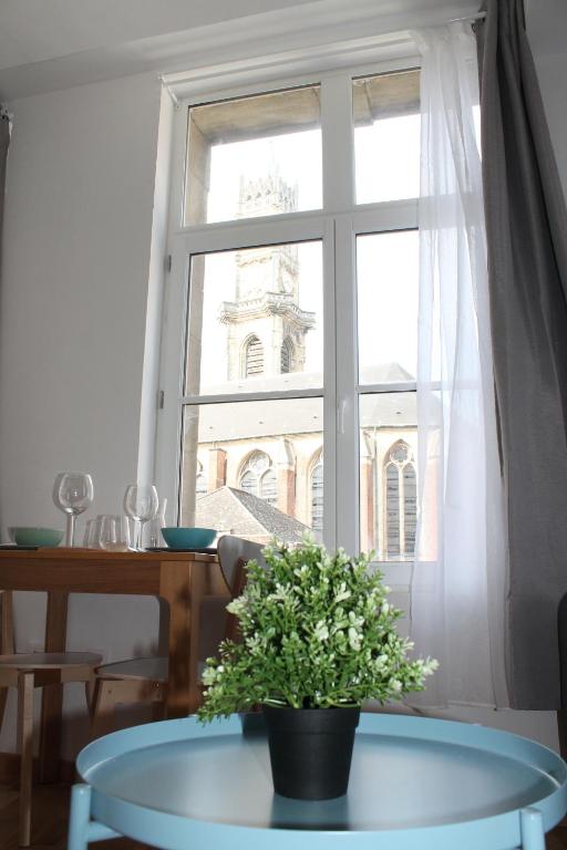 a table with a plant in front of a window at Résidence MILA in Valenciennes