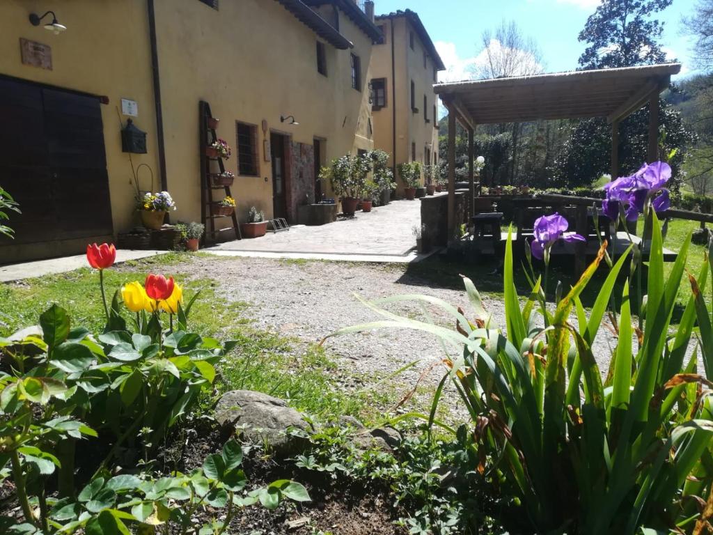 un giardino fiorito di fronte a un edificio di A Casa Del Tosi a Lucca
