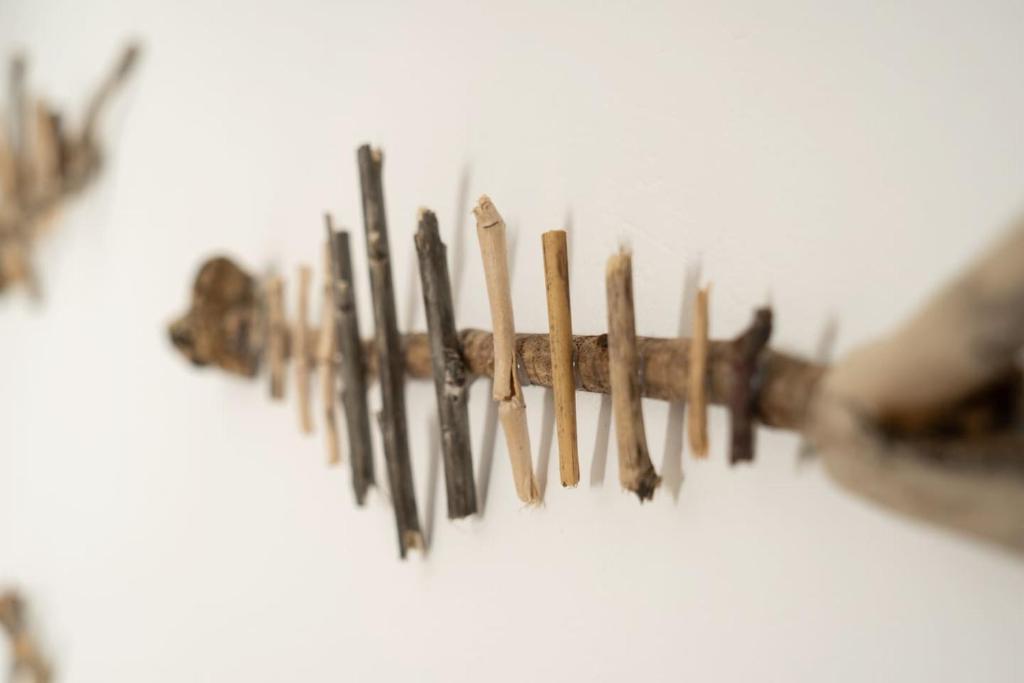 Fotografie z fotogalerie ubytování Coralli Pentati 1 "Dimitris Apartments" v destinaci Pentátion