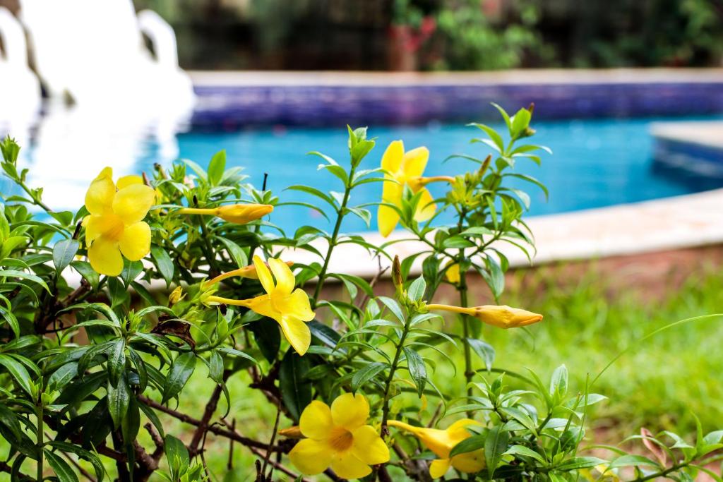  Imperial Palace - Hotel & Eventos