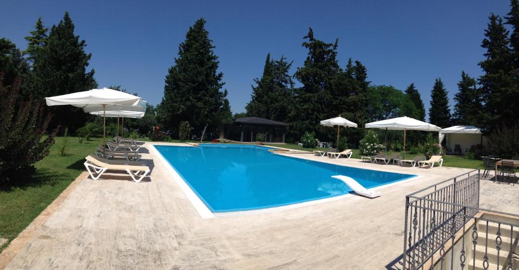 duży basen z krzesłami i parasolami w obiekcie Relais Villa Sant'Isidoro w mieście Colbuccaro
