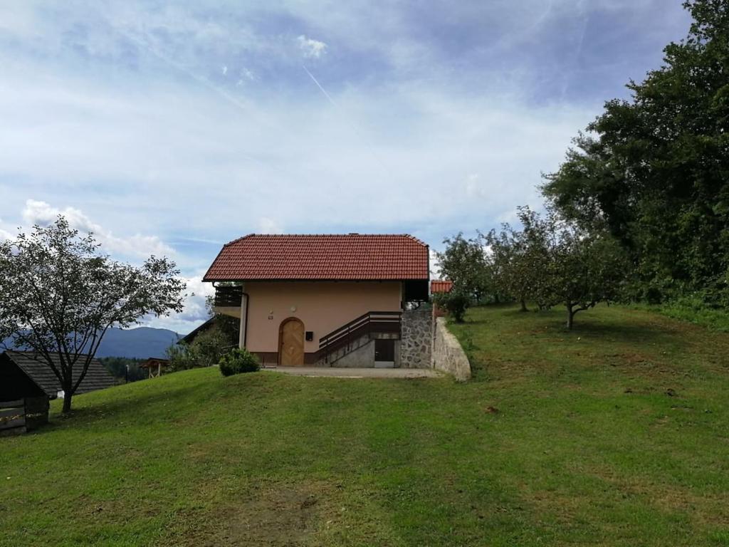une petite maison sur une colline avec un champ verdoyant dans l'établissement Peaceful, cosy cottage near Kolpa river, à Gradac