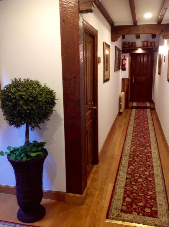 Fotografie z fotogalerie ubytování Casa Cayo v destinaci Potes