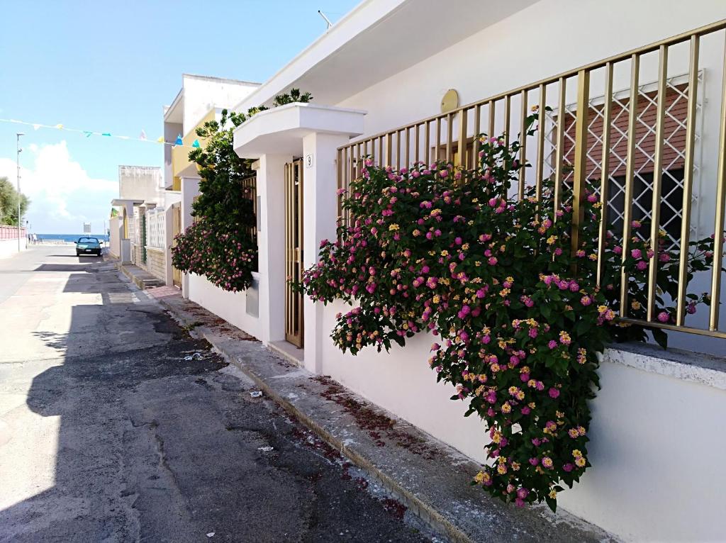 卡薩拉巴特的住宿－La Nassa Salento，建筑一侧带鲜花的阳台