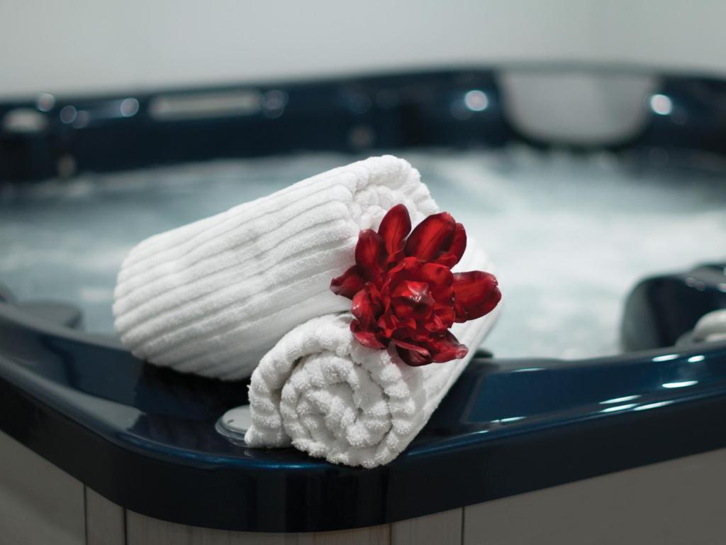 Copthorne Hotel & Apartments Queenstown Lakeview - Resim 3