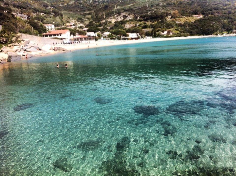 una spiaggia con un gruppo di persone che nuotano in acqua di Hotel la Conchiglia a Campo nell'Elba