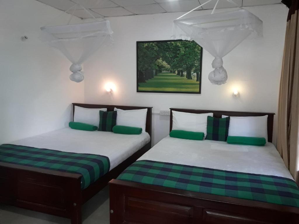 Ella green stay - 16