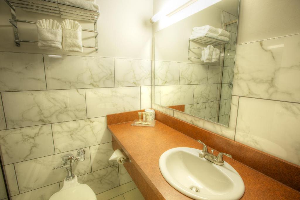 a bathroom with a sink and a mirror at Hotel Ruby in Spokane