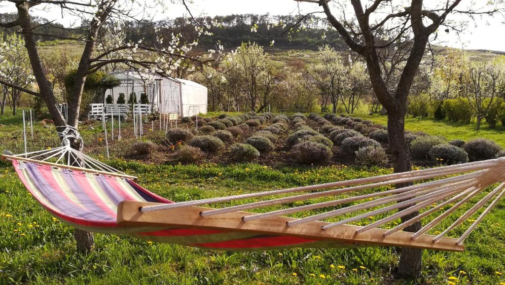 Zahrada ubytování Lavander Garden Camping