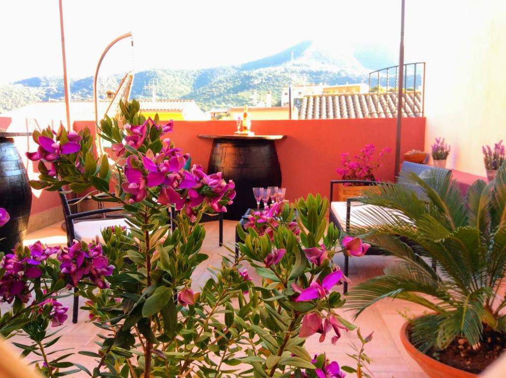 Nespecifikovaný výhled na hory nebo výhled na hory při pohledu z bed and breakfast